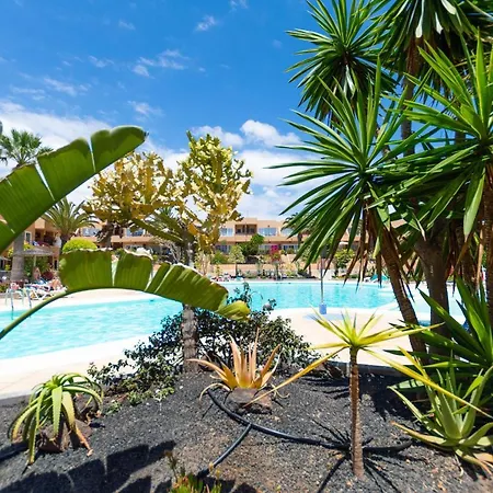 Apartman El Rincon De Sara By Best Holidays Fuerteventura Corralejo